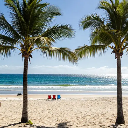 Descubra a Praia de Maceió Descubra a Praia de Maceió