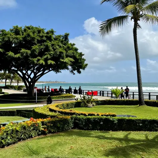 Descubra as Maravilhas do Marina Park