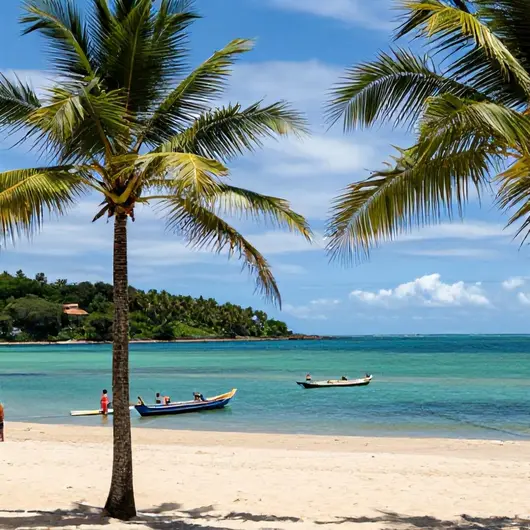 Descubra Flecheiras: O Paraíso Litoral do Ceará