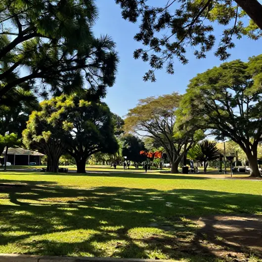 Descubra o Parque Rio Branco