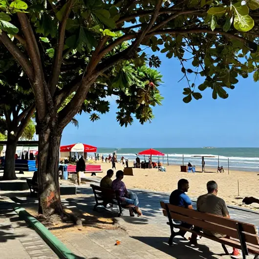 Descubra o Roteiro Imperdível pela Beira-Mar de Fortaleza
