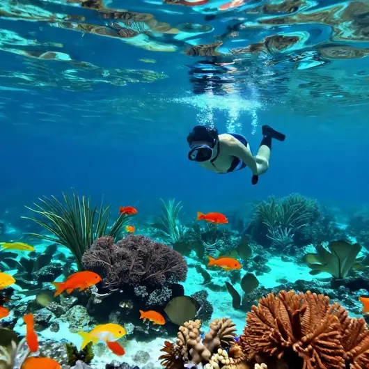Mergulho em Fortaleza: Descubra as Maravilhas do Fundo do Mar