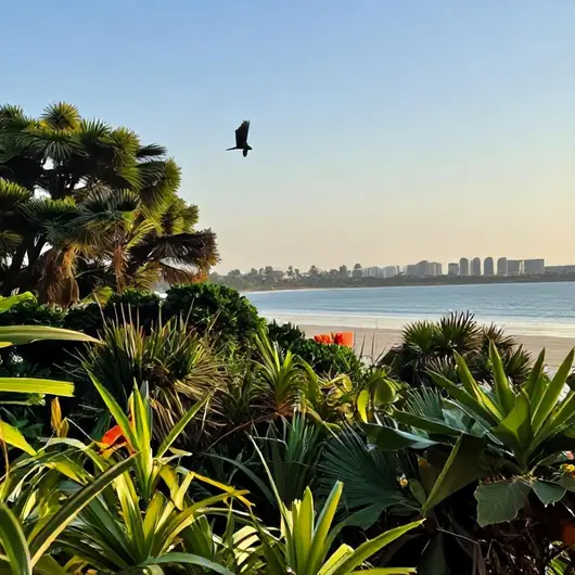 Observação de Aves em Fortaleza: Um Guia Completo para Apreciadores da Natureza